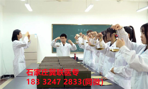 石家莊冀聯(lián)醫(yī)學院2026年護理專業(yè)學費介紹