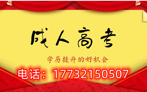 干貨！備考必讀，成考不踩雷！