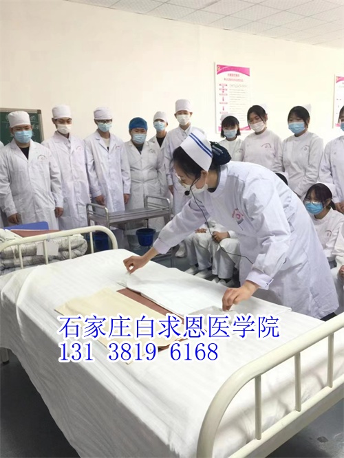 河北對口高考和對口單招有什么不同？