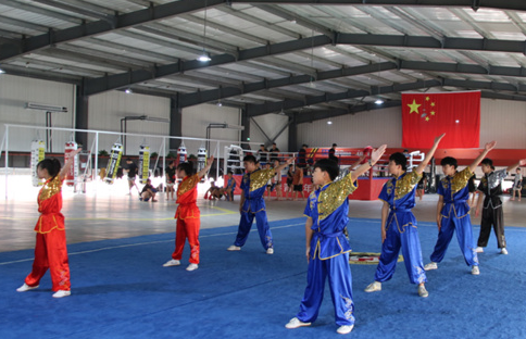 武術(shù)專業(yè).png